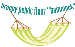 Droopy pelvic floor hammock