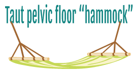 Taut pelvic floor hammock