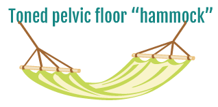 Toned pelvic floor hammock