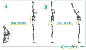An anatomical diagram showing a figurebending forward and bending backward in spinal extension