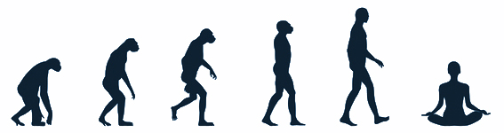 yoga evolution