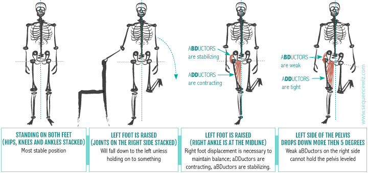 Neglecting Your Hip Abductors Can Mess Up Your Walk Sleep And Balance