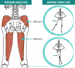 Neglecting your hip abductors can mess up your walk, sleep and balance