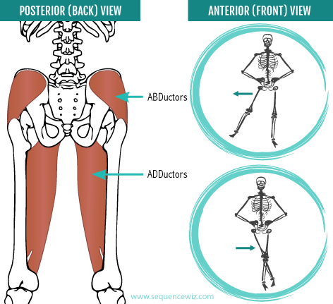 Neglecting Your Hip Abductors Can Mess Up Your Walk Sleep And Balance
