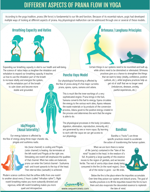 What makes your heart beat? A yogic view of energy and physiology