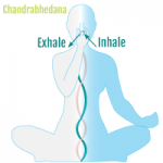 Yogis ahead of science: One nostril breathing determines how you feel