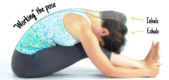 Yoga Poses for Low Back Pain - Vyaniti Yoga
