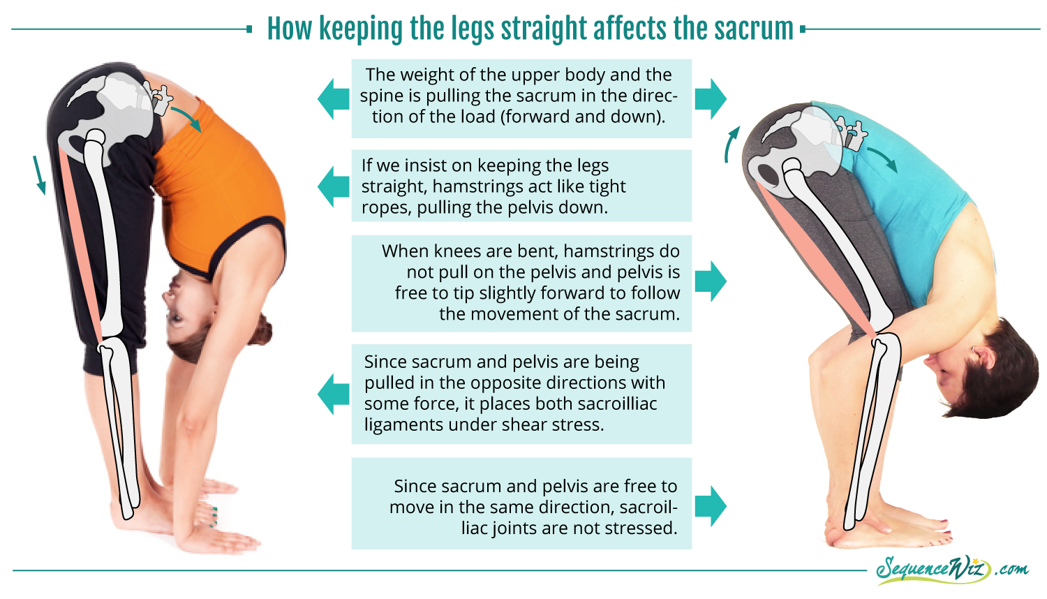 How To Bend Forward Without Stressing The Spine