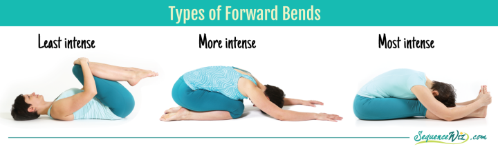 Why do we do forward bends in yoga?