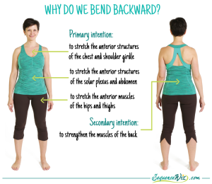 Why do we bend back in yoga?