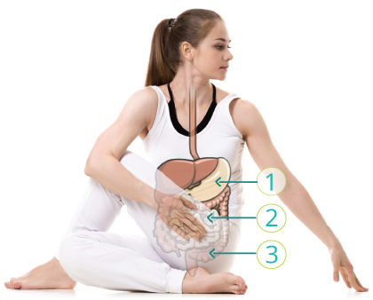 yoga for digestion