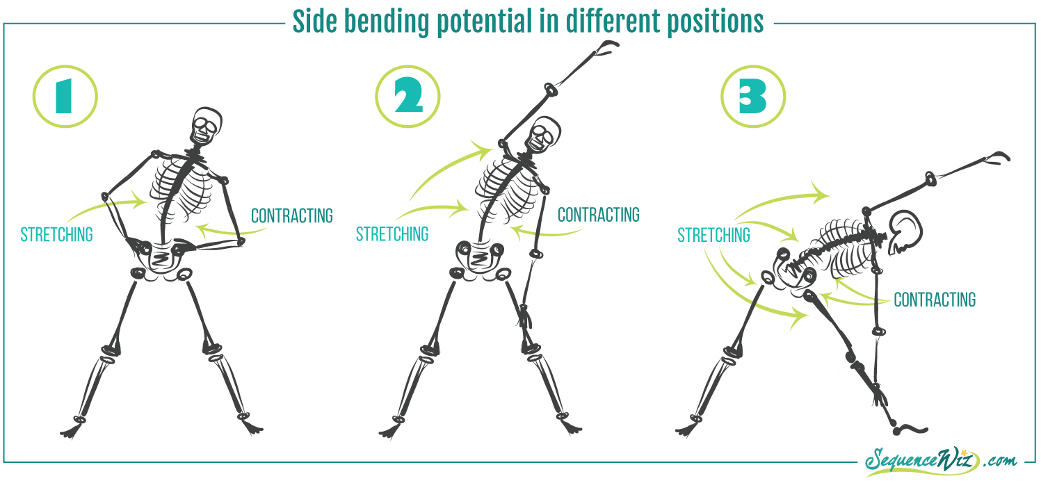Standing Side Bend: Tips and Recommended Variations