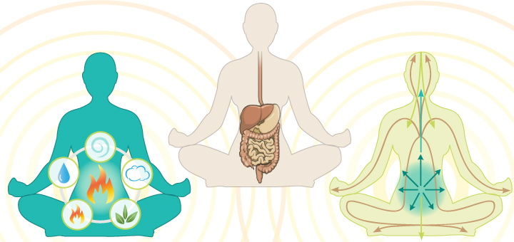 Understanding the Flow of Prana (Life-Force Energy) • Yoga Basics