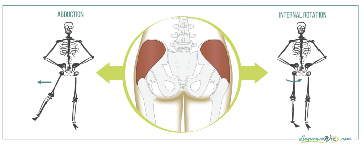 HipAbductionIntRotation - Sequence Wiz