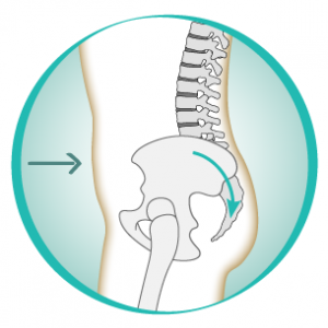 Corset vs pelvic tilt: to tuck or not to tuck the tailbone under