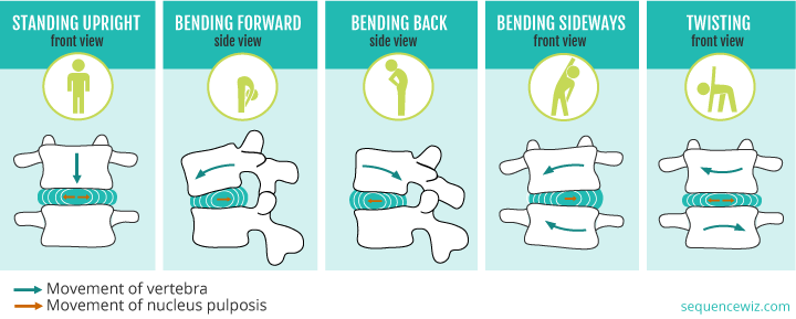 Four steps to minimize the stress placed on the intervertebral disks