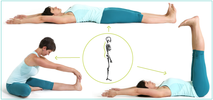 Yoga Exercise For Lower Back Pain | International Society of Precision  Agriculture