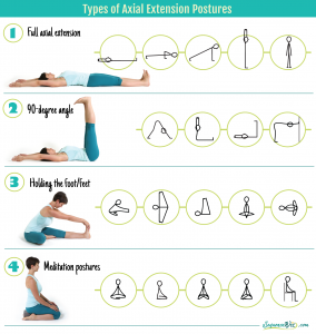 Why do we lengthen upward? Four types of axial extension postures ...