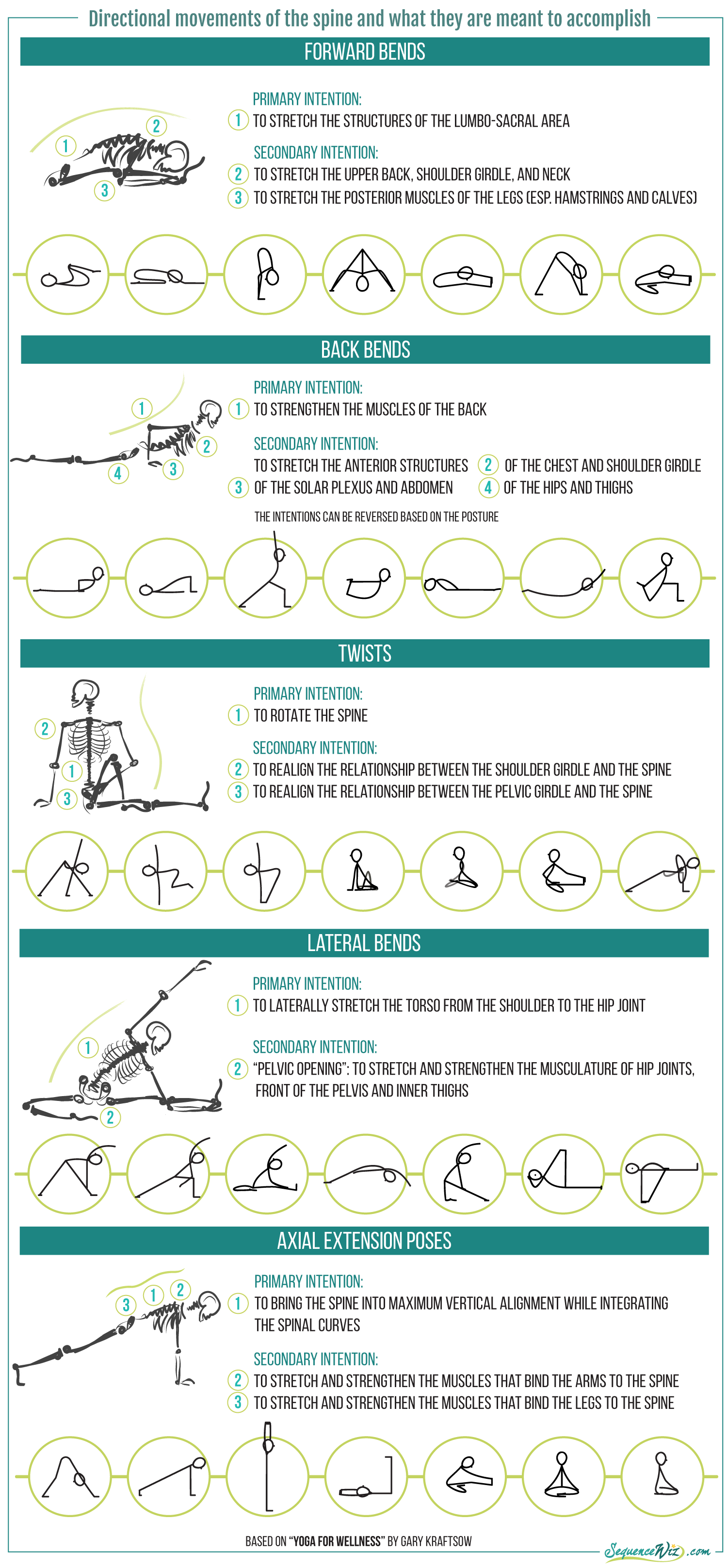 Directional movement of the spine infogr