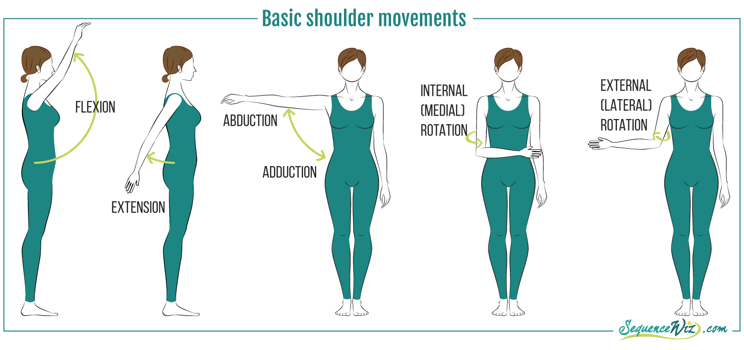 shoulder girdle movements