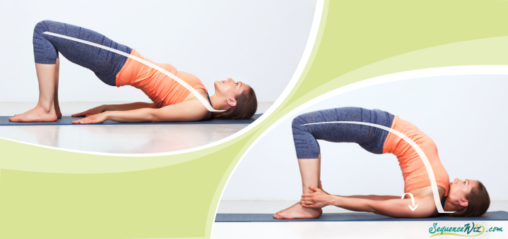 Bridge pose: easy yoga poses