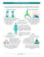 Different aspects of prana Ffow in yoga