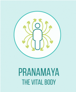 Managing chronic pain with yoga_Pranamaya