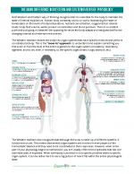 The main difference in Western and Eastern approach to physiology