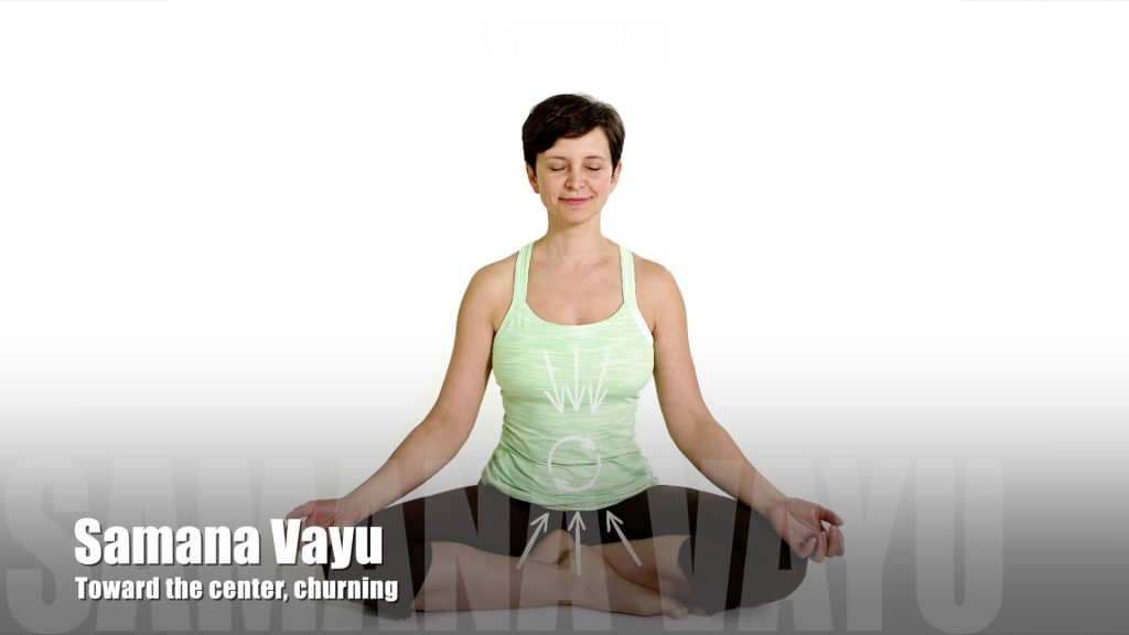 Pranayama: The Five Vayus - TINT Yoga