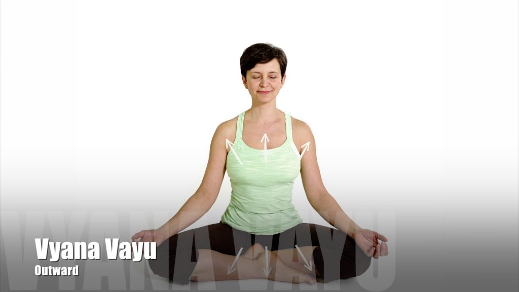 Vyana and Udana Vayu: Functions, Imbalance Signs and How to Balance -  Fitsri Yoga