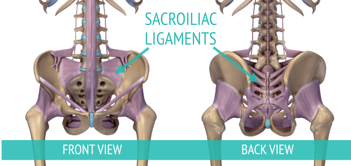Anatomy Between Hip Lower Ribcage In Back Low Back Pain Treatment