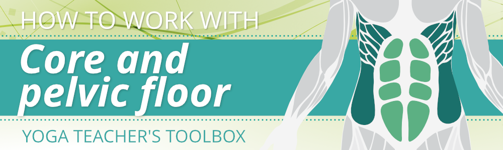 Yoga teacher's toolbox: How to work with core and pelvic floor - Sequence  Wiz