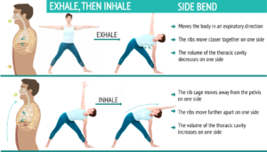 How to combine breath and movement in your yoga practice - Sequence Wiz