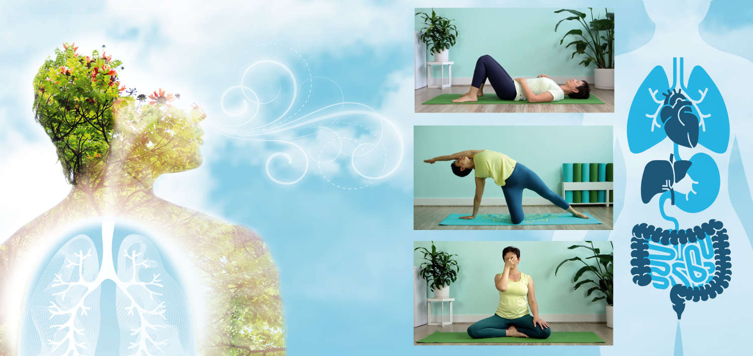 Breathing 101 — Serenity Yoga and Wellness