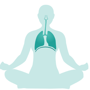 Breath control options in yoga - Sequence Wiz